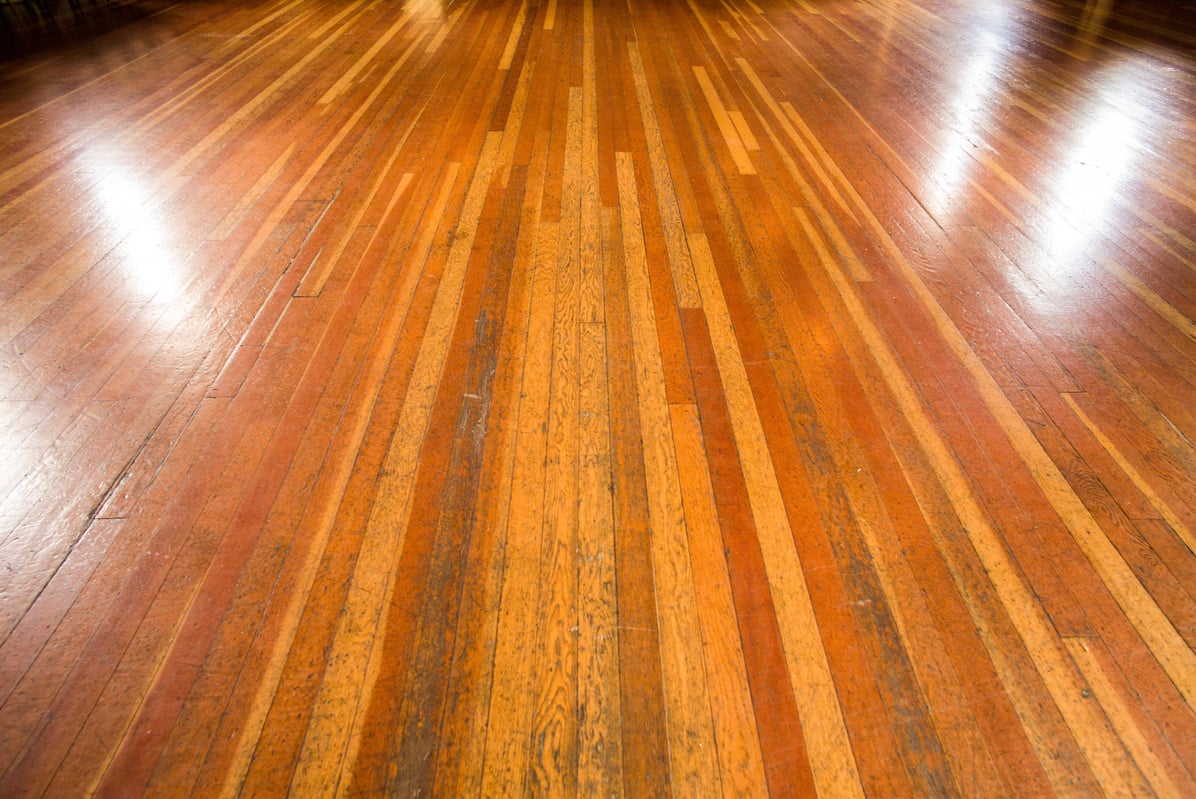 Hard Wood Floor